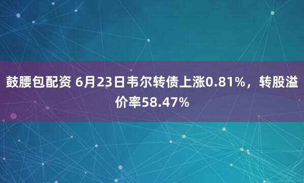 鼓腰包配资 6月23日韦尔转债上涨0.81%，转股溢价率58.47%