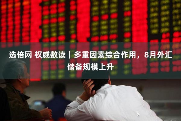 选倍网 权威数读｜多重因素综合作用，8月外汇储备规模上升